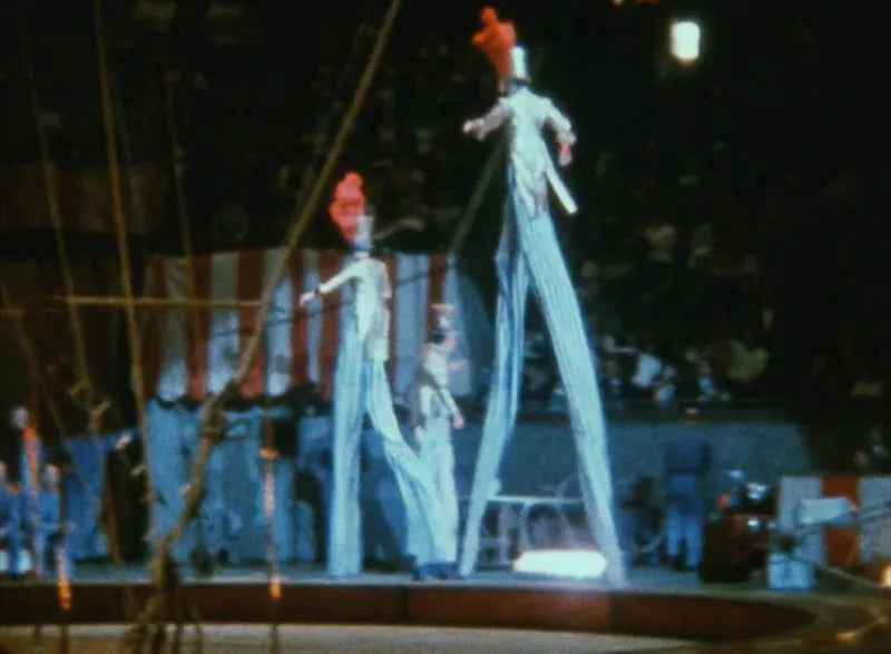 Notes on the Circus