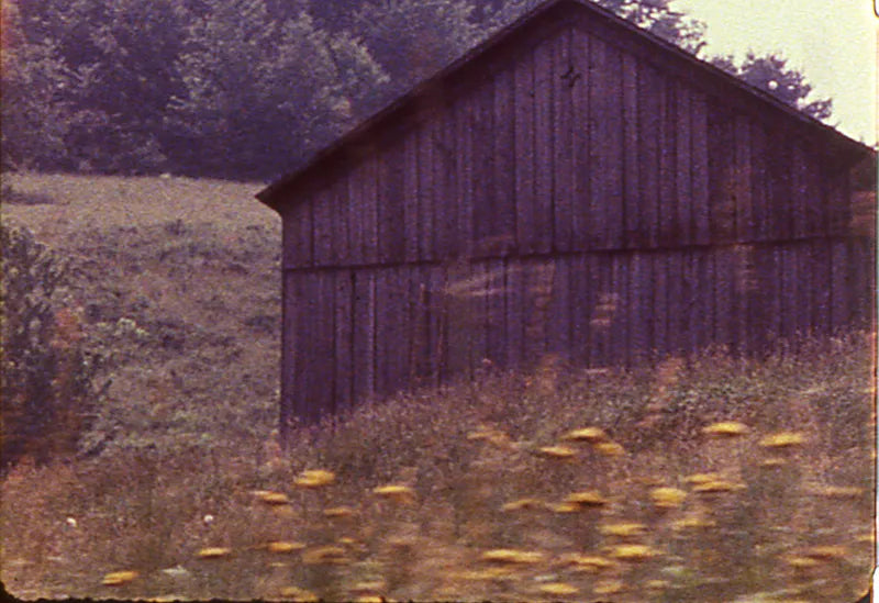 Barn Rushes