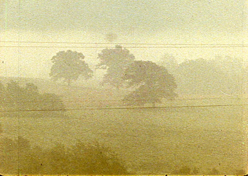 Fog Line