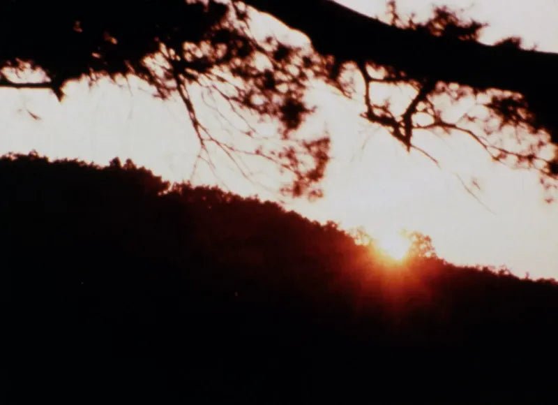 Horizons