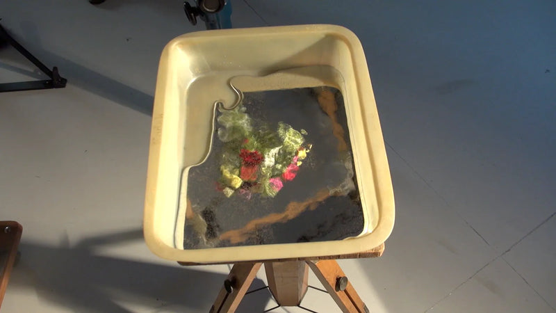 Visite à l'atelier de Bokanowski