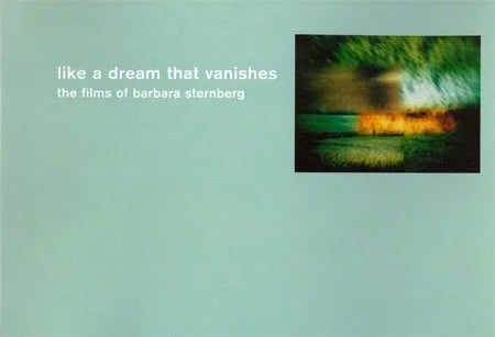 Michael Hoolboom - Like a dream that vanishes : the films of Barbara Sternberg