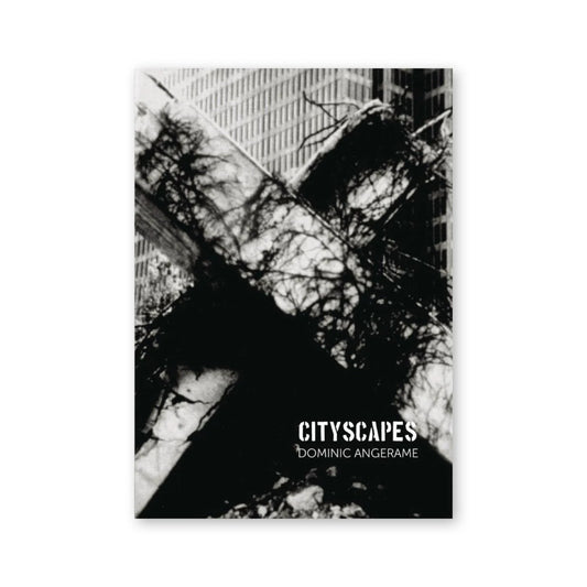 Dominic Angerame — Cityscapes