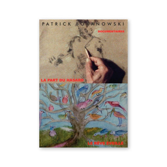 Patrick Bokanowski — Documentaires