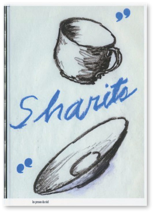 Paul Sharits (édition française)