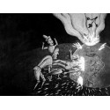Suzan Pitt - Animated Films