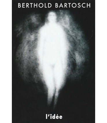 Hummingbird - Vector graphics