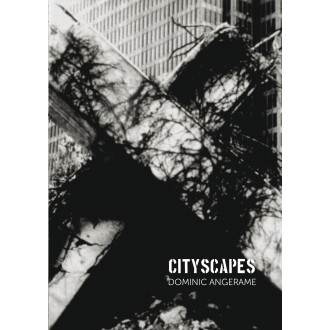Dominic Angerame - Cityscapes
