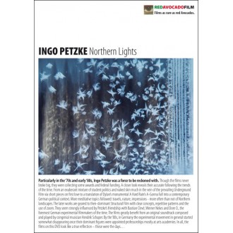 Ingo Petzke - Northern Lights