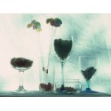 Jun Kurosawa - Selected works vol.2