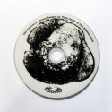 Grainy Realism - Abstract Animated Films by Vicky Smith