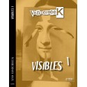 可见（Visibles）