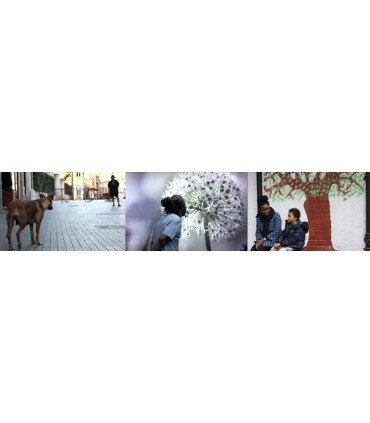 Fugitive Images : Selected works of Andrea Luka Zimmerman