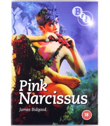 Pink Narcissus - James Bidgood