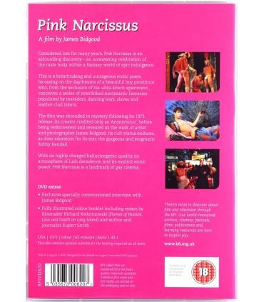 Pink Narcissus - James Bidgood