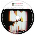 Kurt Schwerdtfeger (Bauhaus Weimar) Reflektorische Farblichtspiele (1922/1968)